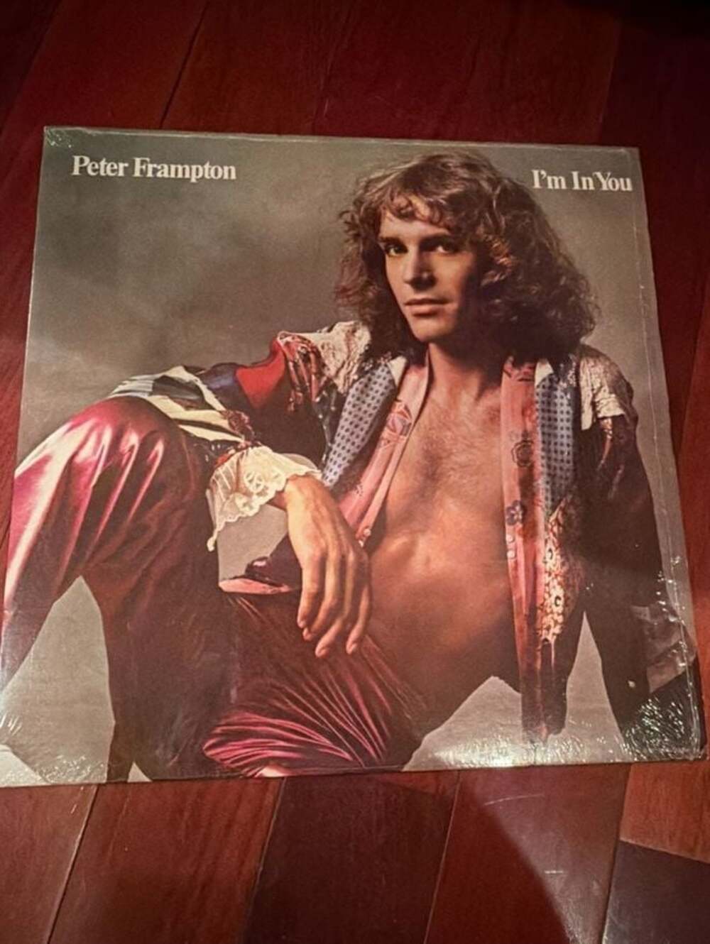 Peter Frampton - I'm In You Vinyl LP Record (1977)